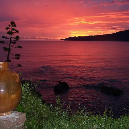 Corolaggio Sagone (Corsica)